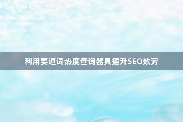 利用要道词热度查询器具擢升SEO效劳