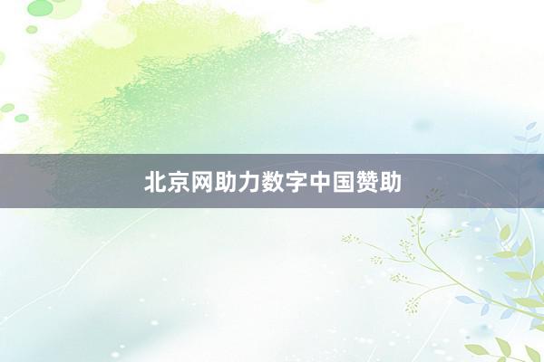 北京网助力数字中国赞助