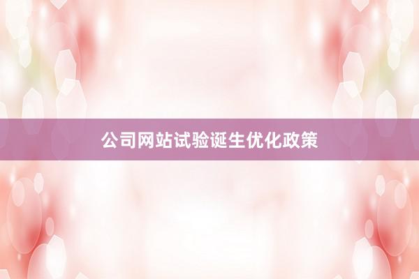 公司网站试验诞生优化政策