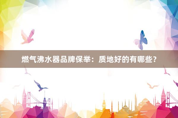 燃气沸水器品牌保举：质地好的有哪些？